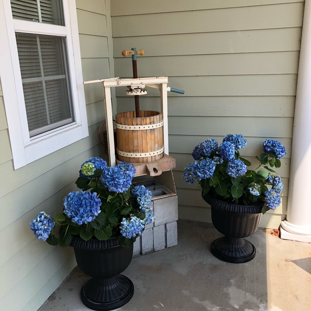 Meet your Posher, Karen